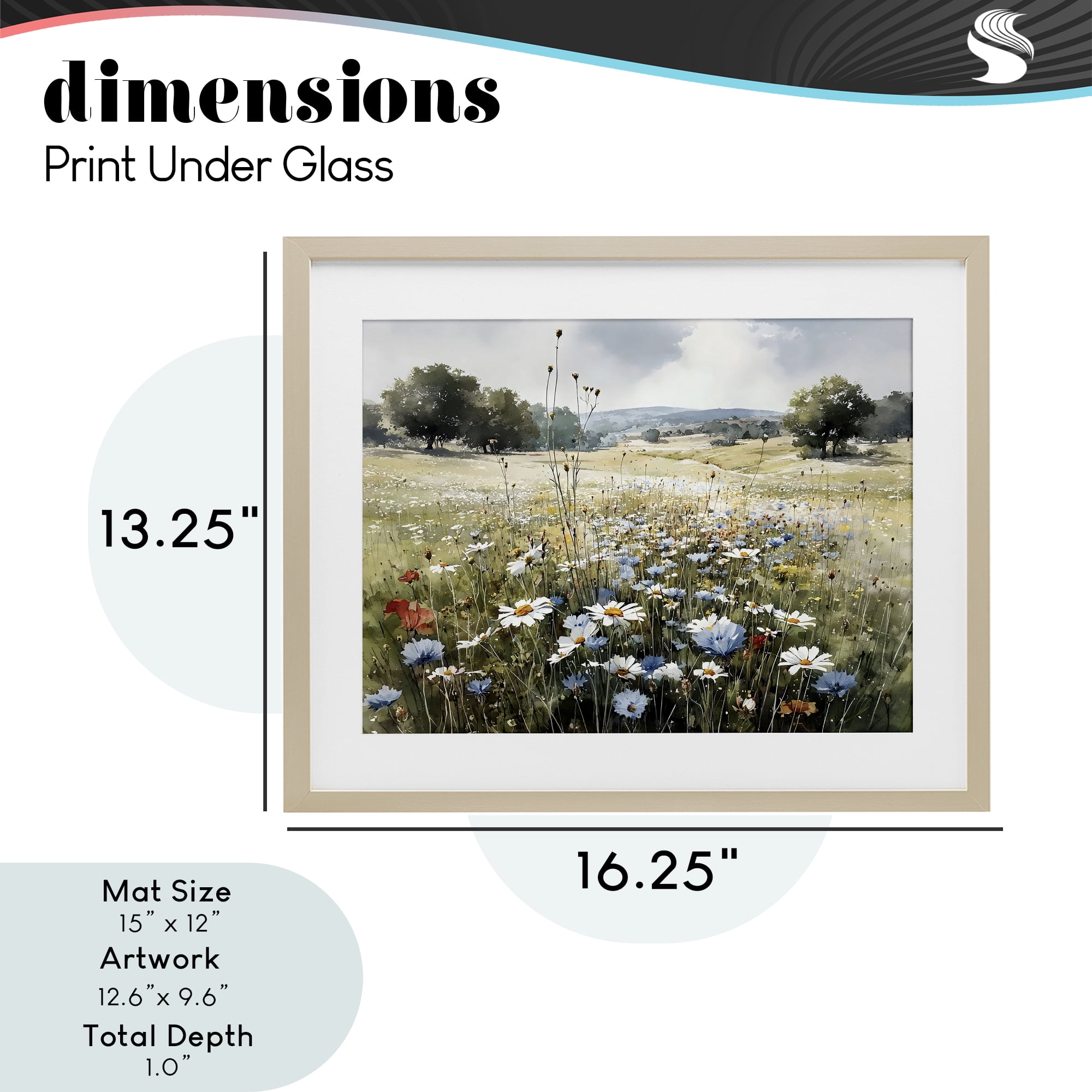 Stupell Industries Calm Meadow of Wildflowers Birch Framed Print Under Glass, design by Franklyn Gregory