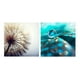 thumbnail image 2 of Cuadros Decorativos Minimalistas Flor Agua Hd Moderno Canvas, 2 of 4