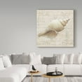 thumbnail image 3 of Trademark Fine Art 'Coastal Beauty III' Canvas Art by Lisa Audit, 3 of 3