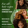 thumbnail image 4 of Herbal Essences Argan Oil Paraben Free Conditioner, Hair Repair, with Certified Camellia Oil and Aloe Vera, For All Hair Types, Especially Damaged Hair, 4 of 9