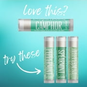 Delight Naturals Camphor Lip Balm - 3 Pack