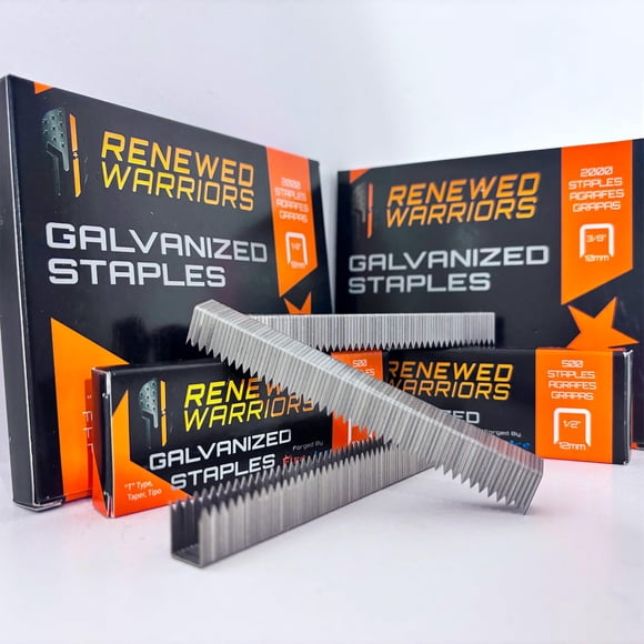 Grapas galvanizadas renovadas T50 de Warriors, resistentes, corona de 3/8 pulgadas, longitud de pata