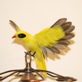 thumbnail image 3 of SDFGTstore Realistic Feathered Bird Model Statue for Indoor and Outdoor Yard Decoration, 3 of 14