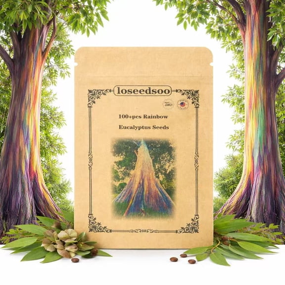 Rainbow Eucalyptus Seeds for Planting – 100 Eucalyptus deglupta Tree Seeds, Colorful Rainbow Bark Ornamental Tree, Fast Growing Tropical Garden Tree Seeds