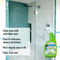thumbnail image 4 of DuPont Mold and Mildew Cleaner, Suitable for Natural Stone, 4 of 4