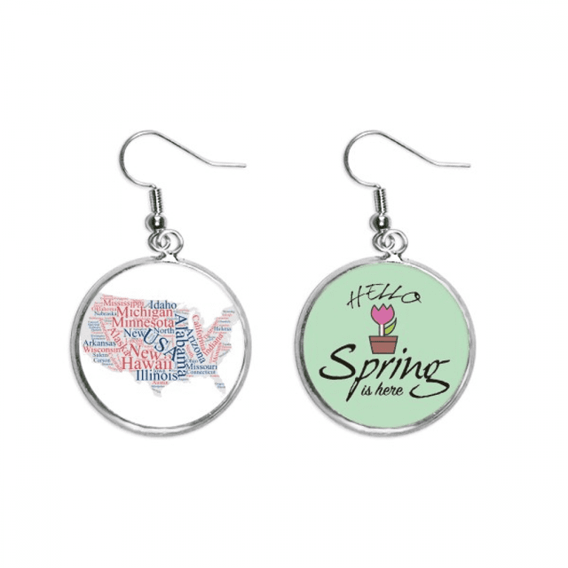 Estados Unidos de America Mapa ciudad * wordcloud Colgante decorativo temporada pendientes de primavera joyas Unbranded M