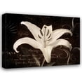 thumbnail image 1 of Amy Melious 44x34 Gallery Wrapped Canvas Wall Art Titled - Garden Journal III, 1 of 4