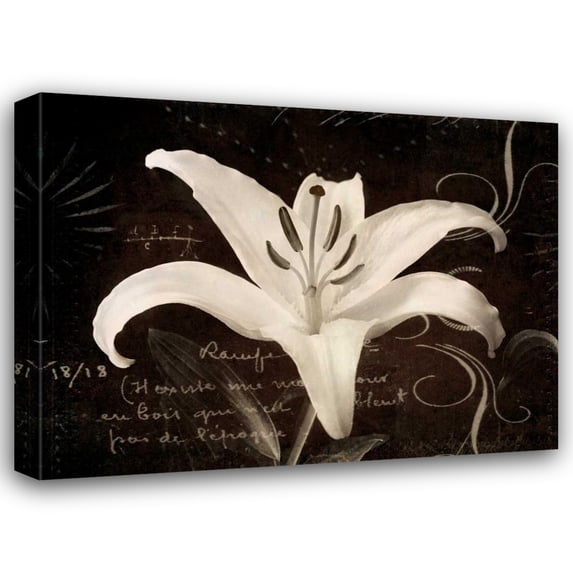 Amy Melious 44x34 Gallery Wrapped Canvas Wall Art Titled - Garden Journal III