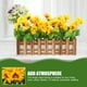 thumbnail image 4 of Planta de flores artificiales con maceta para cerca, diseño de esquina de aula, girasol falso, 4 of 6