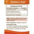 thumbnail image 5 of Secrets Of The Tribe Senna Leaf Capsules Dietary Supplement, Natural Herbal Capsules for Digestive Support, Senna Leaf (Senna Alexandrina) Dried Leaf, 60 Capsules, 5 of 7