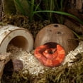 thumbnail image 5 of 2 Pack Natural Coconut Reptile Hideouts, Lizard, Spider and Aquarium Fish Hide Cave (Smooth Surface), 5 of 7