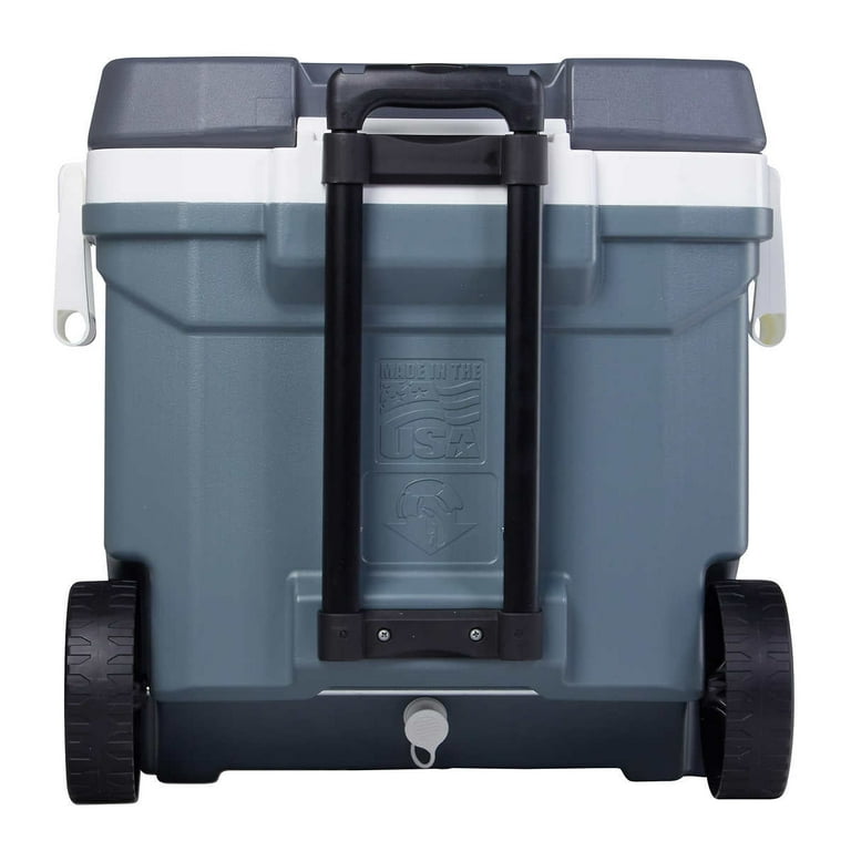 Igloo maxcold cheap 62qt