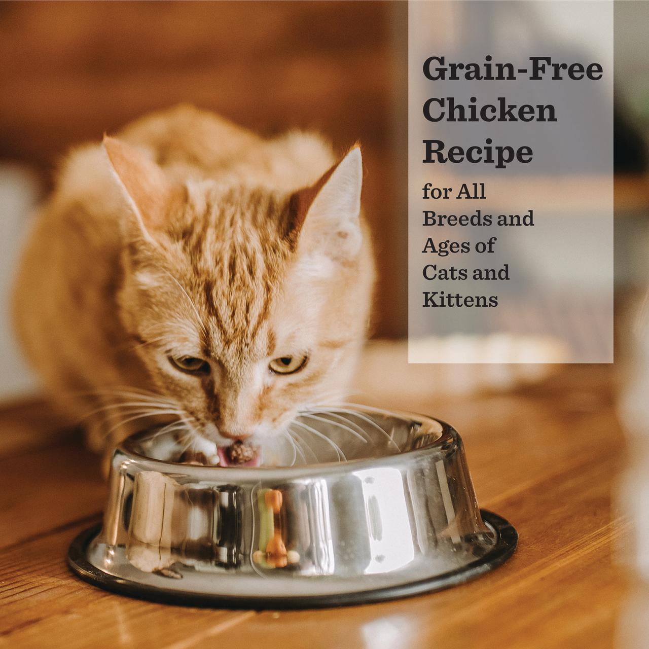 (12 pack) Dr. Pol Limited Ingredient Chicken Canned Cat Food, 5.5oz.