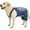 workwear, variant on UOSIA Dog Overalls for Large Dogs Fashion Cute Dog Jeans Jumpsuit Vintage Washed Dog Denim Shirts Dog Jacket Onesie,30,workwear