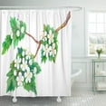 thumbnail image 1 of ABPHQTO Flor verde Espino Crataegus Rama Acuarela Amarillo Aquarelle Hermosa flor Cortinas de ducha de baño impermeables Set 165x180 cm ABPHQTO PKNMT66x72Shower-11109, 1 of 2
