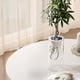 thumbnail image 5 of Planting Basket Hydroponic Plant Rootholder Vase Planting Basket Transparent Vase Hydroponic Flower Vase, 5 of 6