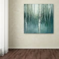 thumbnail image 3 of Trademark Fine Art 'Forest Dream' Canvas Art by Julia Purinton, 3 of 3