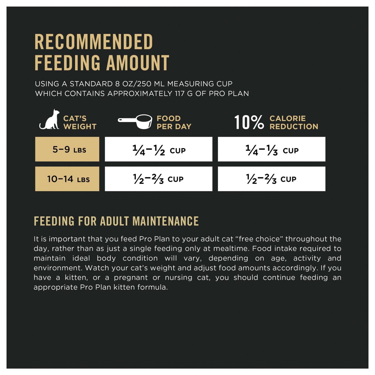 How Much Food Should a Cat Eat Per Day: Ultimate Feeding Guide
