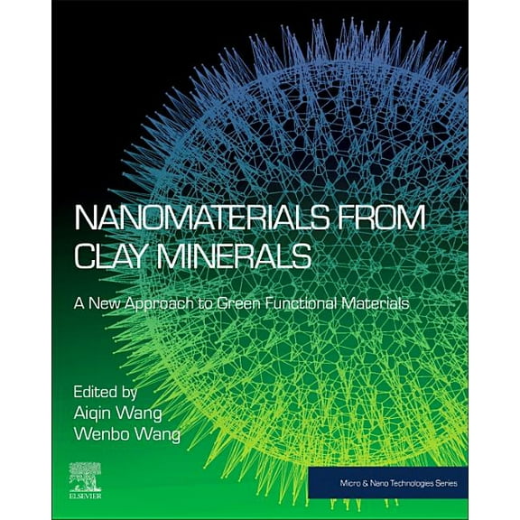 Micro and Nano Technologies Nanomaterials from Clay Minerals: A New Approach to Green Functional Materials, (Paperback)