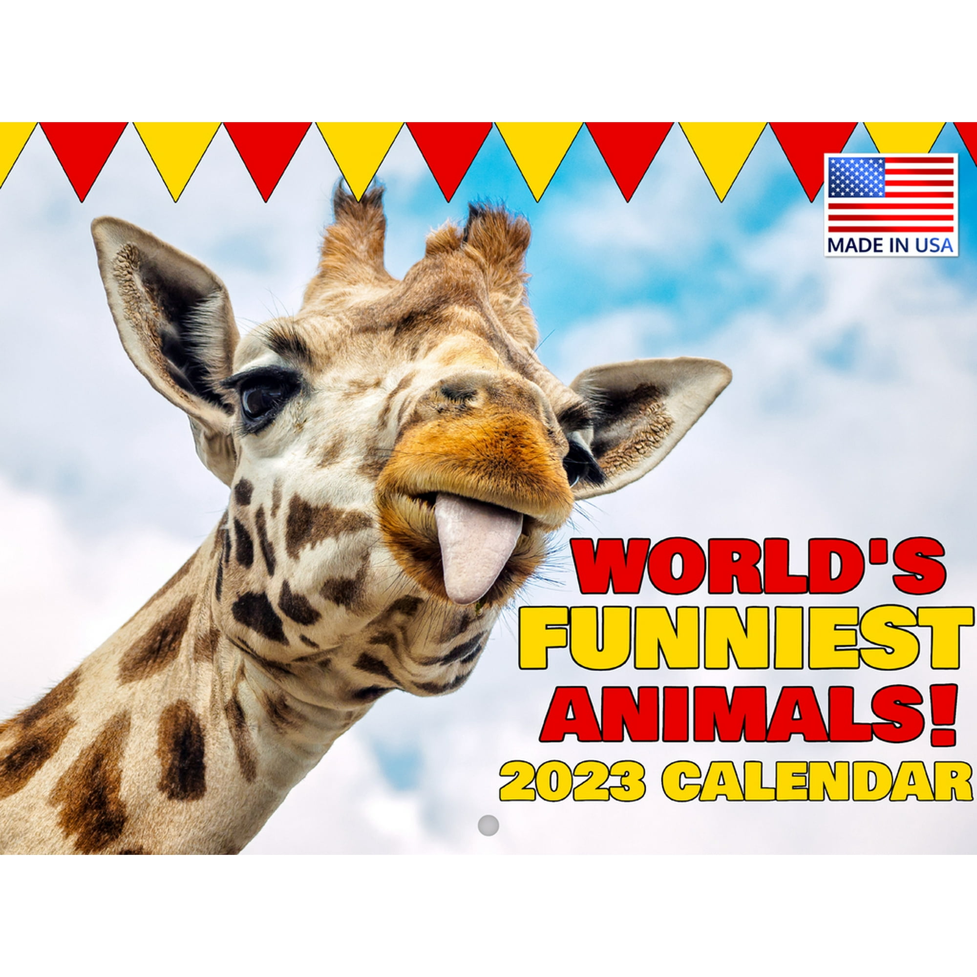 Worlds Funniest Animals