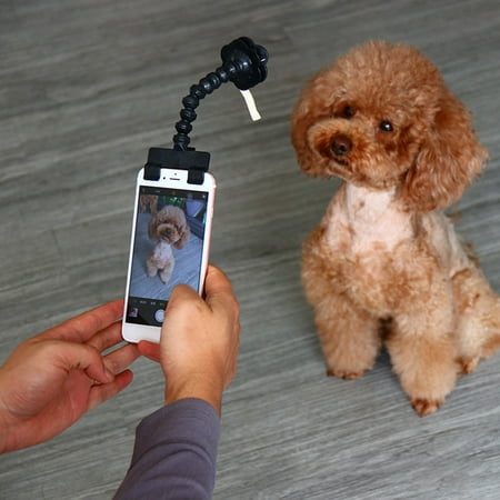 Image of Reheyre Selfie Stick Rod - Puppy Cat Photo Shooting Toys with Mobile Phone Clip Pet Supply
