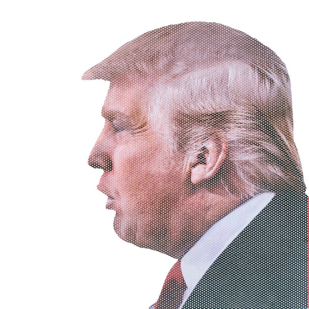President Donald Trump Window Decal Head 2020 Sticker Car Truck Laptop White 