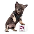 thumbnail image 2 of Pechera de piel talla #1 Bajio Pets Apto para cachorros minis, 2 of 2
