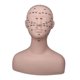 thumbnail image 2 of Maniquí de entrenamiento de práctica profesional Zulema Maniquí de prácticas silicona reutilizable negro, 2 of 8