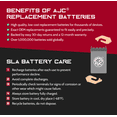 thumbnail image 3 of Can-Am BRP Outlander 400 XT ATV Replacement Battery (2004-2013) - This is an AJC Brand Replacement, 3 of 4