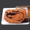 thumbnail image 4 of Dinosaur Fossil Figurine Easy-cleaning Plastic Dinosaur Fossil Statue for Gift, 4 of 8