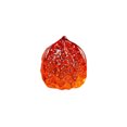 thumbnail image 1 of Glass Walnut Ornament Home Living Room Desktop Decoration, 1 of 5