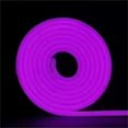 thumbnail image 1 of Decoration String Light - Dienrx 5M Pvc Imitation Silicone Neon Light with Colorful Led Neon Soft 12V Low Voltage Light Belt Set, 1* Led Strip Set, 1 of 3