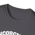 thumbnail image 3 of Incorgnito - Funny Welsh Corgi Owner Dog Lover Novelty Art, 3 of 4
