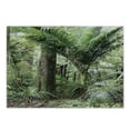 thumbnail image 1 of Forest Cutting Board, Foliage Tropical Jungle South American Growth Untouched Nature Vegetation, Decorative Tempered Glass Cutting and Serving Board, Small Size, Green Brown, by Ambesonne, 1 of 1
