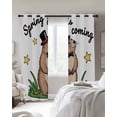 thumbnail image 4 of Groundhog Day Kitchen Curtains Spring Botanical Star Yellow Cafe Short Curtains for Bathroom Blackout Window Curtain Grommet Small Window Treatment Tier Drapes for Bedroom Living Room 52"x45"x2, 4 of 9