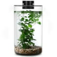 thumbnail image 2 of Desktop Glass Plant Terrarium with Grow Light for Succulent Moss, Glass Plant Terrarium Miniature Landscape Fish Tank Indoor Plant Growth Office Home Decoration Plant Lovers Gifts, 2 of 8