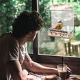 thumbnail image 4 of MesaSe Window Bird Feeder Transparent Easy Installation 3 Strong Suction Cups Removable Tray Drainage Hole Feed Thickened Great Friction Perching Strip Parrot Feeder Bird Supplies, 4 of 8