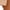 Beige, variant on Women's Mini Skirts Sale Split Hem Pencil Short Skirt Faux Suede Bodycon Skirts with Zipper High Waist Skinny Skirt A Line Slim Fit Skirt Streetwear