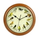 thumbnail image 2 of Reloj de pared con pájaro cantor, reloj de pared decorativo que en horas, decoración redonda, reloj colgante de pared silencioso para sala de, 2 of 9