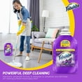 thumbnail image 3 of Fabuloso Multi-Purpose Cleaner, 1 Gallon 128 fl oz, Lavender Scent, 2x Concentrated Formula - for Floors, Counters, and Windows, Bundled with a PD Ship Safe Bag, 3 of 8