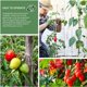 thumbnail image 5 of 100 clips de soporte para plantas, tomates, lazos, cordel, enrejados, jaulas, plantas trepadoras, verduras, 2,5 cm, 5 of 5