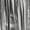 Silver, variant on iiniim Girls Metallic Tassels Latin Dance Shorts Jazz Cha-cha Disco Party Performance Dancewear Blue 12