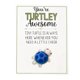 thumbnail image 1 of CAIROYAR 1 minitortuga de bolsillo para abrazar, eres una tortuga, un regalo inspirador increíble con tarjeta, tarjetas de agradecimiento, tarjeta de felicitación, minifigura de tortuga marina, regalo, 1 of 7