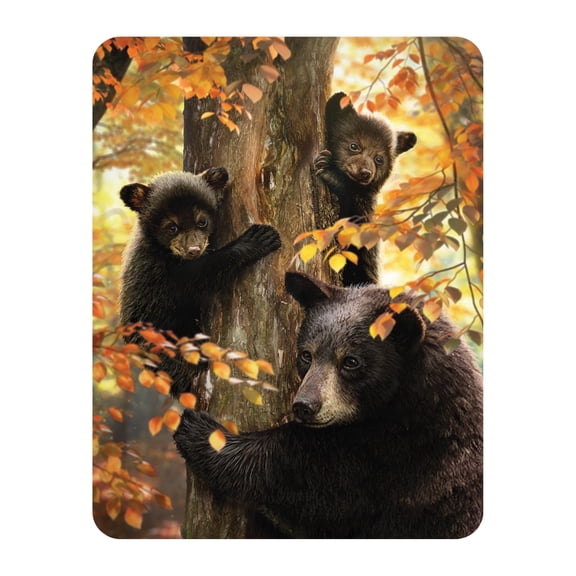 3D LiveLife Magnet - A Mother's Watch from Deluxebase. Lenticular Wild Animal Refrigerator Magnet. Decorative 3D Bear Flat Magnets. Cute Small Magnets for Fridge, Dishwasher and Whiteboard.