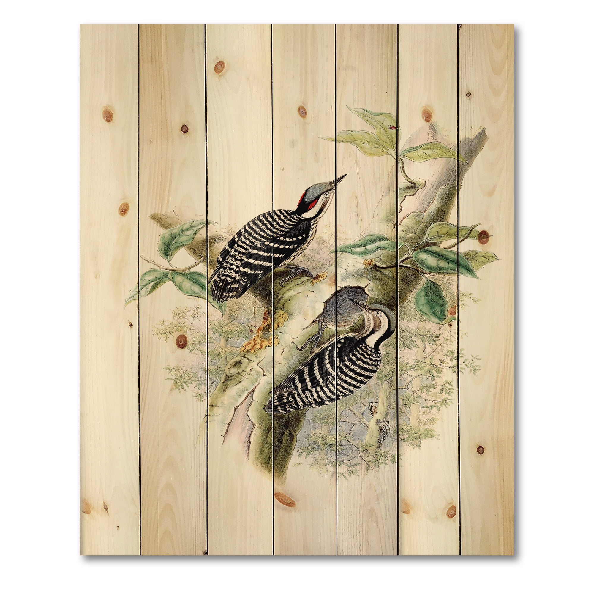 Designart 'Ancient Birds In The Wild V' Traditional Print on Natural Pine Wood