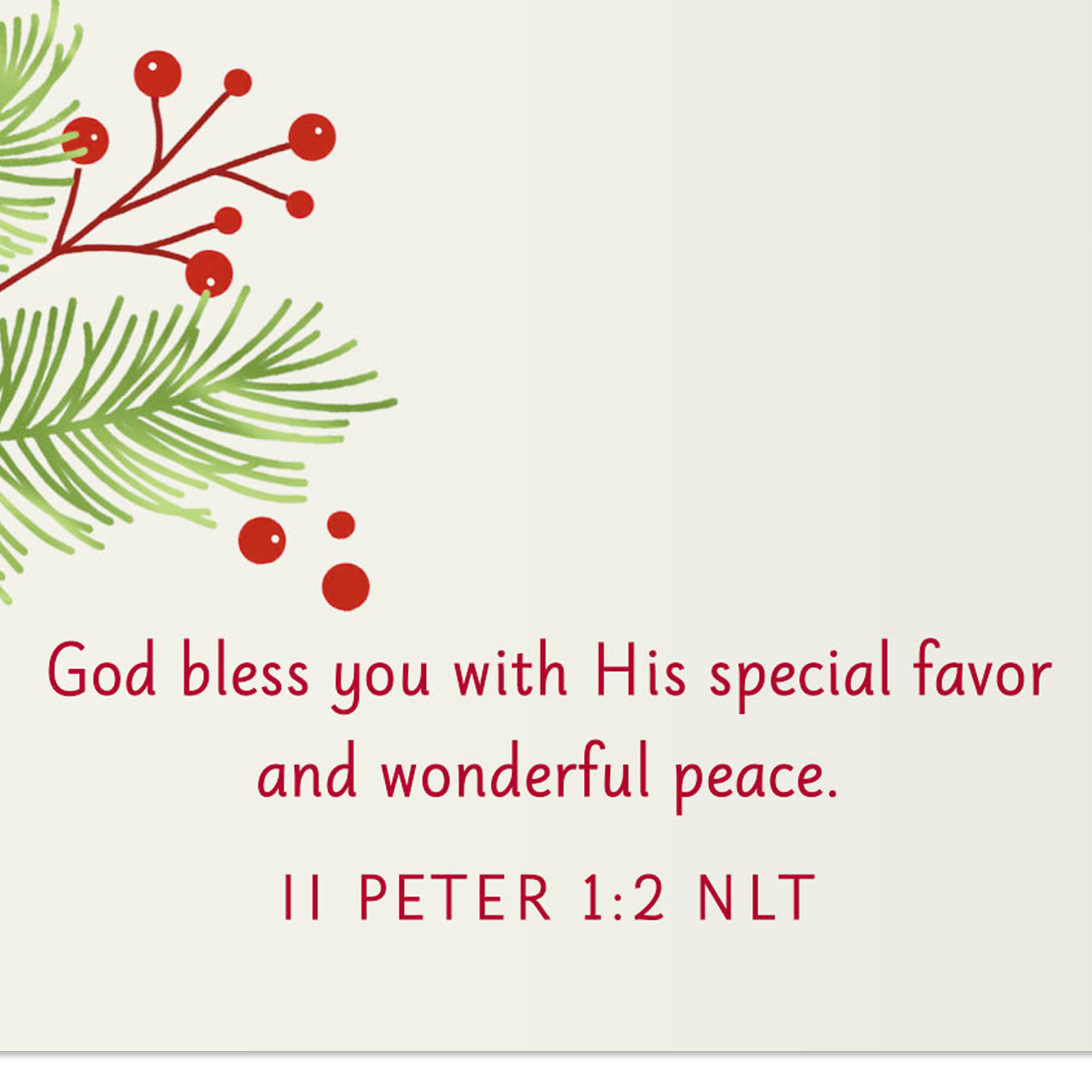DaySpring Religious Christmas Greeting Card for Godson (God Made You a Joy)
