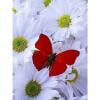thumbnail image 1 of Cuadros Decorativos Diamante pintura 5D flor mariposa DIY taladro redondo completo mosaico (L3137) DQrwqpou Nuevos Originales, 1 of 5