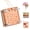 Style 1, variant on Micro Flower Press Small Flower Press Kit Portable Mini Plant Preservation Kit for Arts and Crafts Lover Compact Pocket Sized Tool
