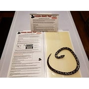 Cahaba Snake Trap, Glue Board 6 Pack