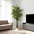 thumbnail image 3 of 60 inches Artificial Bamboo Tree in Black Nursery Pot, 3 of 5